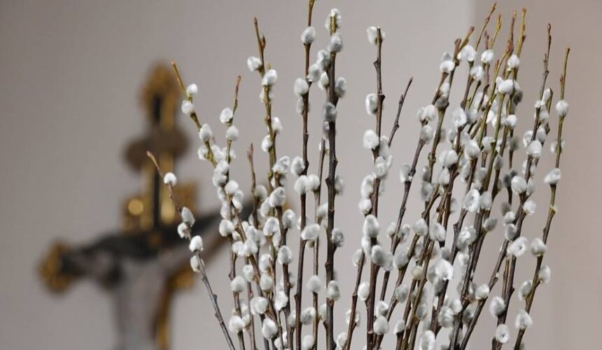 duminica floriilor pentru romano catolici reformati unitarieni evanghelici si neoprotestanti 69c8f8b35f9db