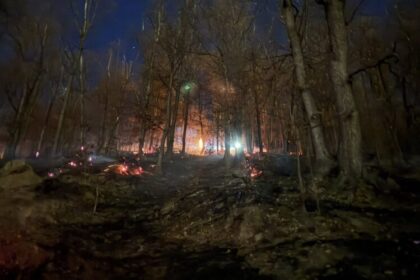 incendiul de sub varful iricau si culmea morgaului din baia mare a fost stabilizat 69af2f5bc19a8