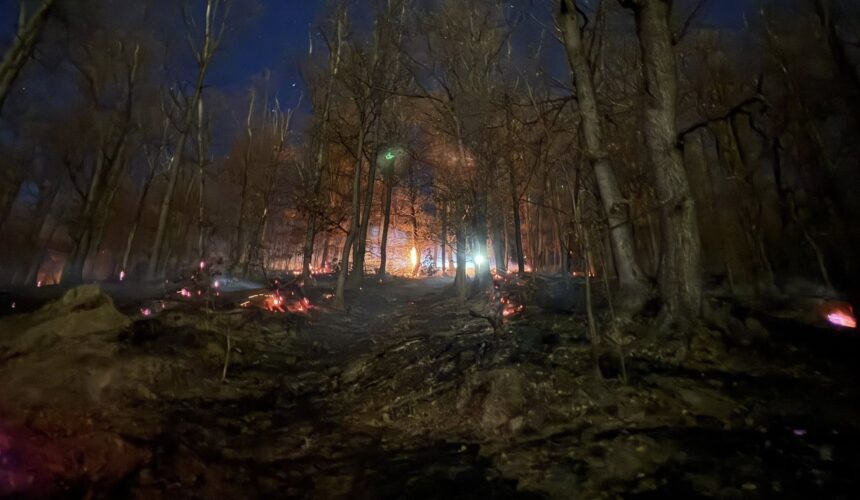 incendiul de sub varful iricau si culmea morgaului din baia mare a fost stabilizat 69af2f5bc19a8