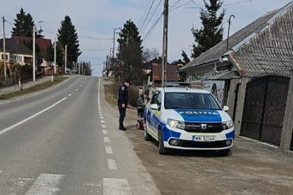 ipj sute de pietoni amendati in ultima saptamana 69a5bee30bc31