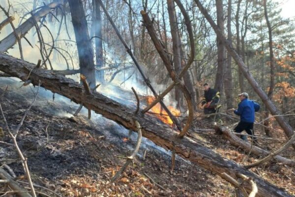 isu 14 incendii de vegetatie uscata si fond forestier intr o singura zi in maramures 69b676ac6bbcb