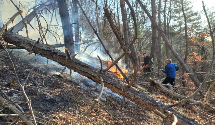 isu 14 incendii de vegetatie uscata si fond forestier intr o singura zi in maramures 69b676ac6bbcb