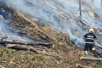 isu 30 de hectare afectate de incendiul de vegetatie din ieud 69c79ec5302c4