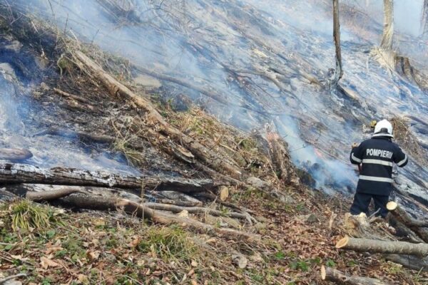 isu 30 de hectare afectate de incendiul de vegetatie din ieud 69c79ec5302c4