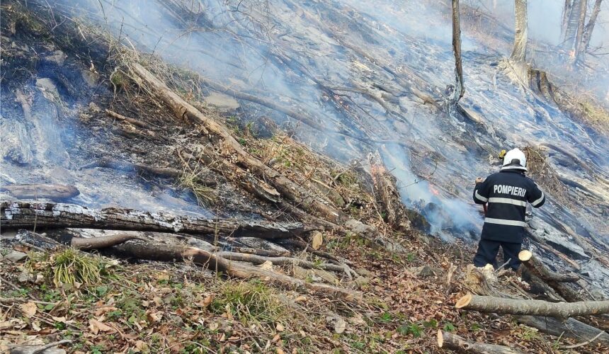 isu 30 de hectare afectate de incendiul de vegetatie din ieud 69c79ec5302c4