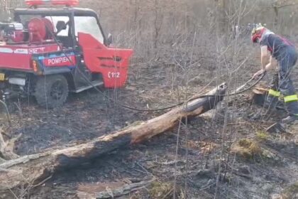 isu incendiu de vegetatie in apropiere de doua veverite 69ae95fc972e1