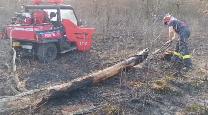 isu incendiu de vegetatie in apropiere de doua veverite 69ae95fc972e1