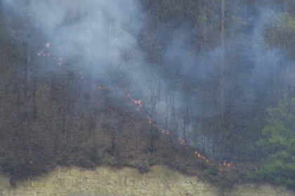 isu incendiu de vegetatie la ieud 69c6777b08478