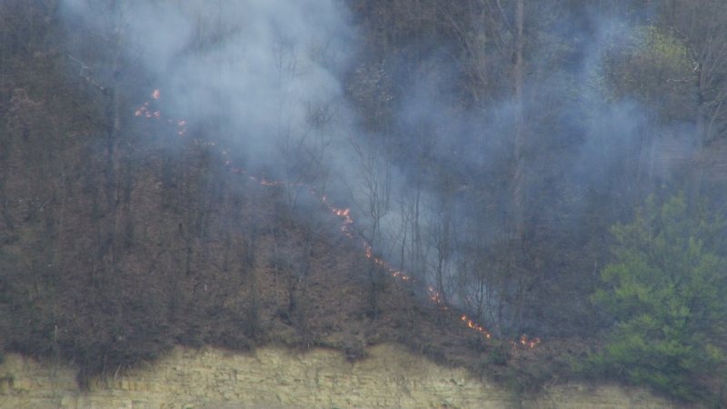 isu incendiu de vegetatie la ieud 69c6777b08478