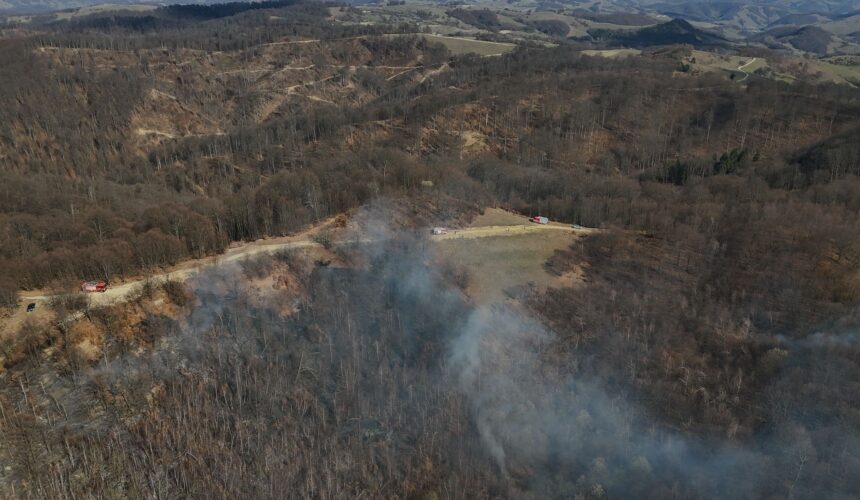 isu incendiu de vegetatie uscata si padure in zona localitatii suciu de sus 69baa82f9e21e
