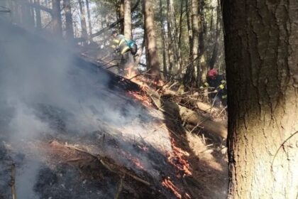 isu trei incendii de vegetatie sesizate in decurs de o ora 69b92eabbf028