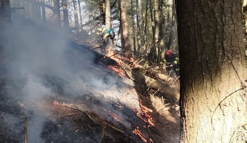 isu trei incendii de vegetatie sesizate in decurs de o ora 69b92eabbf028