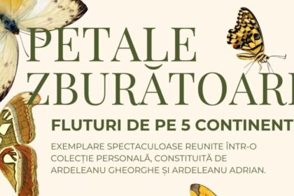 muzeul de mineralogie petale zburatoare fluturi de pe 5 continente 69a3eefb1c78d