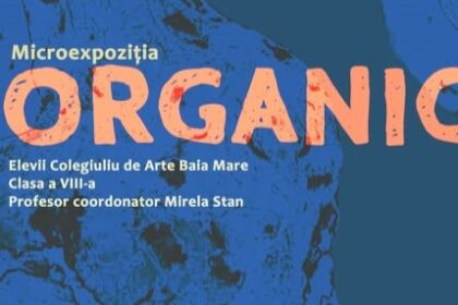 muzeul judetean de arta organic experimentul formei microexpozitie de sculpturi 69b7d644c4a4c