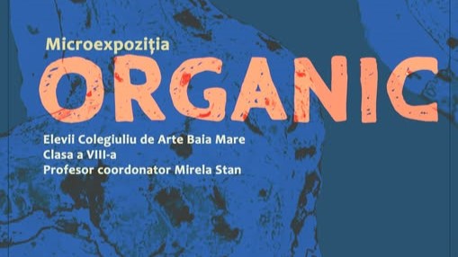 muzeul judetean de arta organic experimentul formei microexpozitie de sculpturi 69b7d644c4a4c