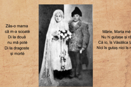 prezentare de carte colenii si istorii personale in satile ardilene autor prof ioan buciuman 69c8f77ef23e3