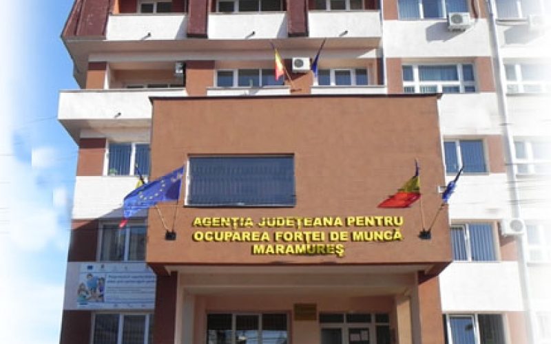video 265 de locuri de munca in aceasta saptamana pe listele ajofm maramures 69ac36d83bc5e