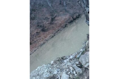 vital agentia targu lapus apa cu turbiditate ridicata la robinete 69ba861712de0