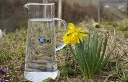 vital ziua mondiala a apei eveniment organizat la statia de tratare a apei obreja din targu lapus 69c3be34b3824