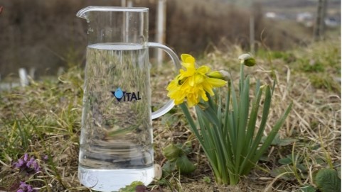 vital ziua mondiala a apei eveniment organizat la statia de tratare a apei obreja din targu lapus 69c3be34b3824