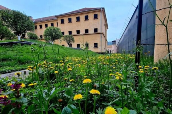 memorialul victimelor comunismului si al rezistentei program de vizitare in perioada sarbatorilor pascale 69d8cf6081265