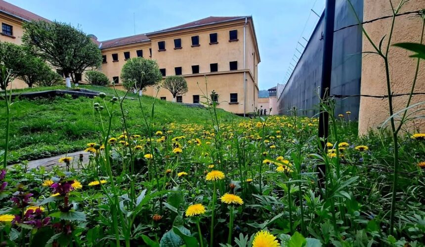 memorialul victimelor comunismului si al rezistentei program de vizitare in perioada sarbatorilor pascale 69d8cf6081265