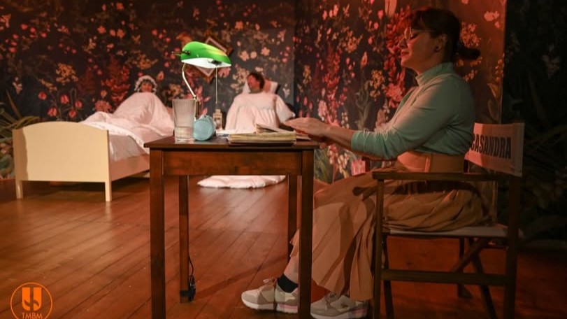 teatrul municipal baia mare reactiune o fandacsie muzicala inspirata de i l caragiale 69ecad4a3b78b