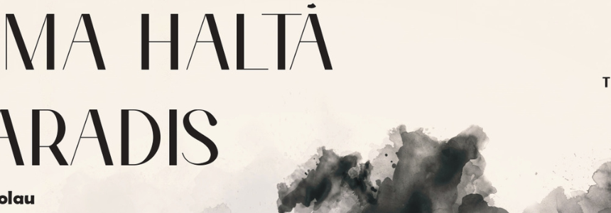 teatrul municipal baia mare ultima halta in paradis in regia lui andrei mihalache 69d3987c66b22