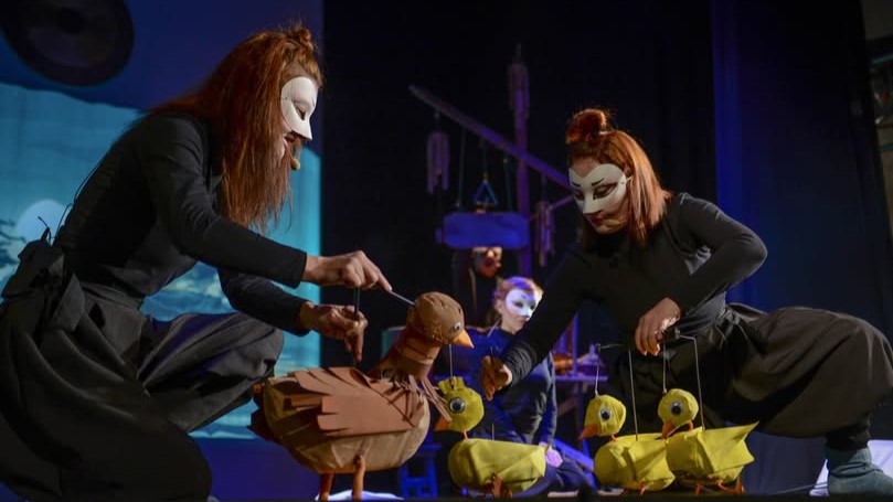 teatrul municipal baia mare sectia papusi intra in renovare din luna iunie 6a0ec8dc4b380