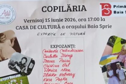 copilaria intr o expozitie la baia sprie invitatie la vernisaj 6a2fdf376fcea