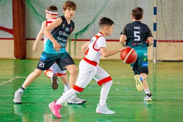 tineri baschetbalisti de la wildcats baia mare convocati la lotul regional de pregatire 6a37336c9eae9