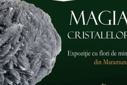 muzeul judetean de mineralogie expozitie de flori de mina din maramures la tulcea 6a59eaea2b08c