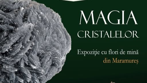 muzeul judetean de mineralogie expozitie de flori de mina din maramures la tulcea 6a59eaea2b08c