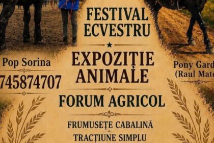 miresu mare in acest sfarsit de saptamana sunteti asteptati la festival ecvestru expozitie de animale si forum agricol 6a856faad15f6