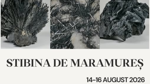 muzeul judetean de mineralogie stibina de maramures frumusetea mineralelor maramuresene la mineral expo cavnic 6a7c6d35dc049