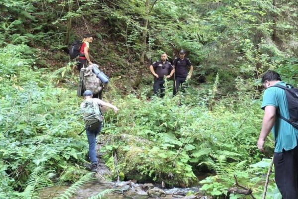 salvamont maramures bilantul unei saptamani de foc in muntii maramuresului 7 actiuni majore de salvare si sprijin 6a7aeddbf33e1