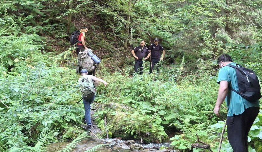 salvamont maramures bilantul unei saptamani de foc in muntii maramuresului 7 actiuni majore de salvare si sprijin 6a7aeddbf33e1