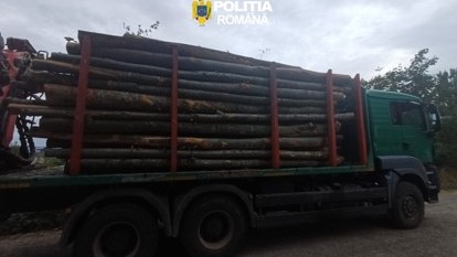transport ilegal de material lemnos ansamblu auto indisponibilizat si peste 17 mc de material lemnos confiscati de politistii sigheteni 6a9047fdae186