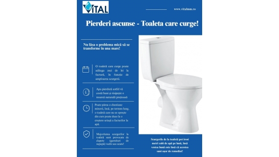 vital atentie la pierderile de apa pe reteaua interioara o toaleta care curge poate adauga zeci de lei la factura in functie de amploarea scurgerii 6a8d5c75a3436