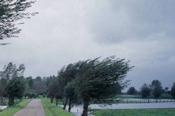 atentionare meteo cod galben de vant 6a9bc4fe58c97