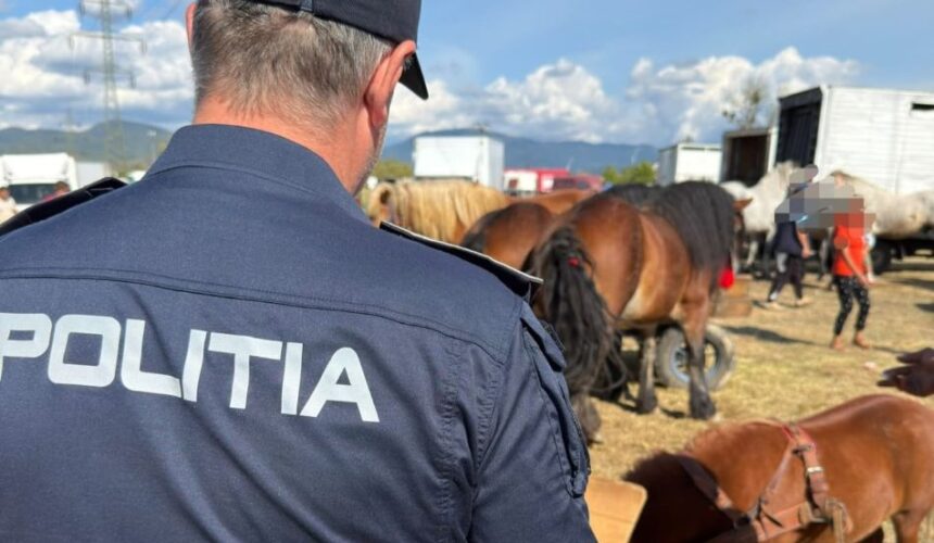 baia mare actiune pentru protectia animalelor desfasurata la festivalul international ecvestru 6abab4e04ee1c