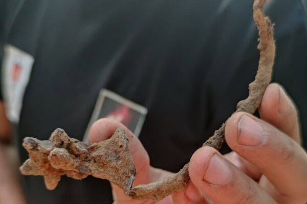 muzeul judetean de istorie descoperiri arheologice la ciceu corabia 6aa275ae3e9ab