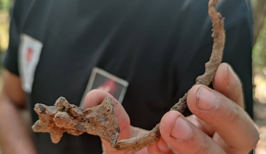muzeul judetean de istorie descoperiri arheologice la ciceu corabia 6aa275ae3e9ab