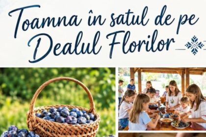 muzeul satului baia mare toamna in satul de pe dealul florilor se prepara silvoita pe ulita 6aa90e33f1c9b