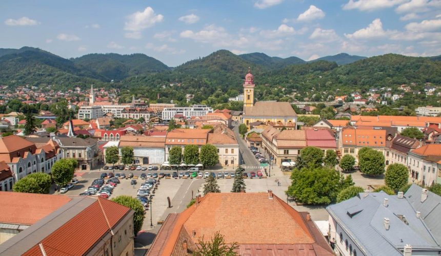baia mare campania de deratizare a fost prelungita 6ae20999316b7