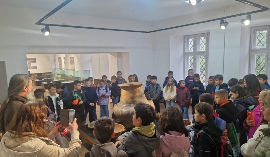 muzeul judetean de istorie peste 3 300 de beneficiari de la cei mai mici exploratori pana la elevi dornici sa descopere istoria patrimoniul si stiinta prin experiente interactive 6ae075b226cef