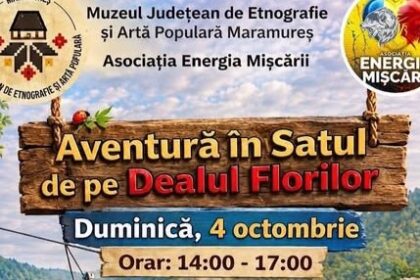 muzeul satului baia mare duminica tiroliana miscare si voie buna 6abe6b694b061
