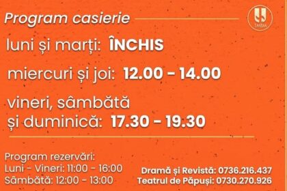 teatrul municipal baia mare si a mutat activitatea la teatrul de papusi 6ae39729dfefd