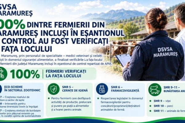 video d s v s a maramures a finalizat in proportie de 100 verificarile de control in teren 6abfc04584695